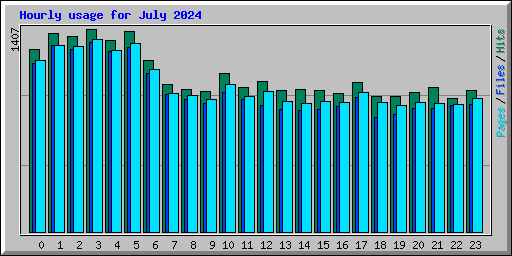 Hourly usage for July 2024